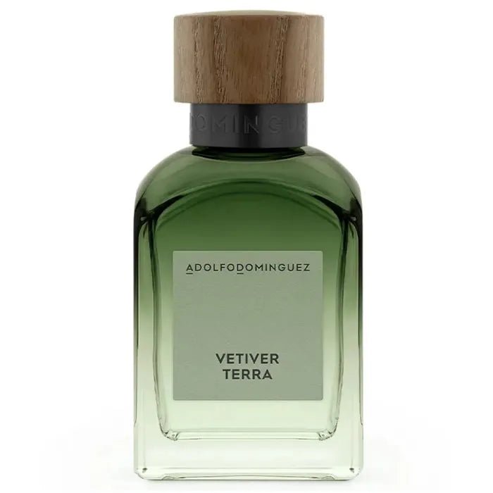 Adolfo Dominguez Vetiver Terra Eau de Parfum Spray Parfum Homme Boisé Aromatique 120ml - Afanaya